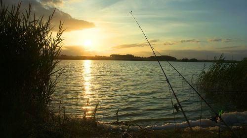 Островное озеро – место для рыбака