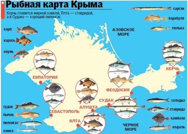 Рыбная карта Крыма