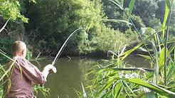 Видео о ловле сазана донкой на реке Северский Донец